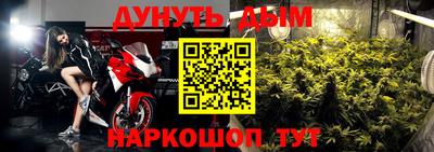 шишки Краснодар