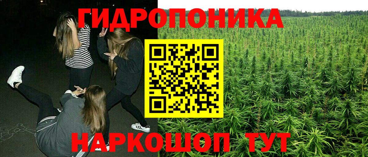 Шишки марихуана индика Ковров